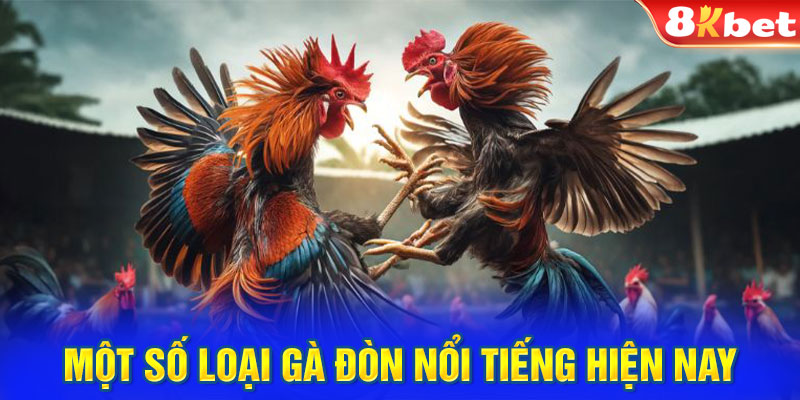 Một số loại gà đòn nổi tiếng hiện nay